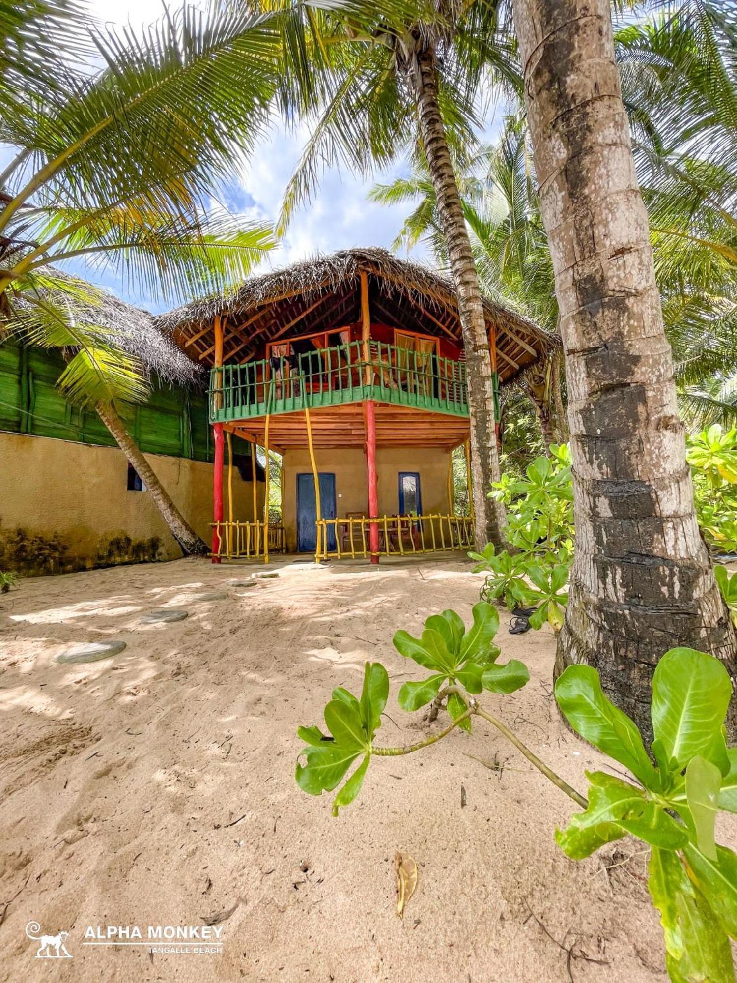 The Alpha Monkey Hotel & Tree House Tangalle Zimmer foto