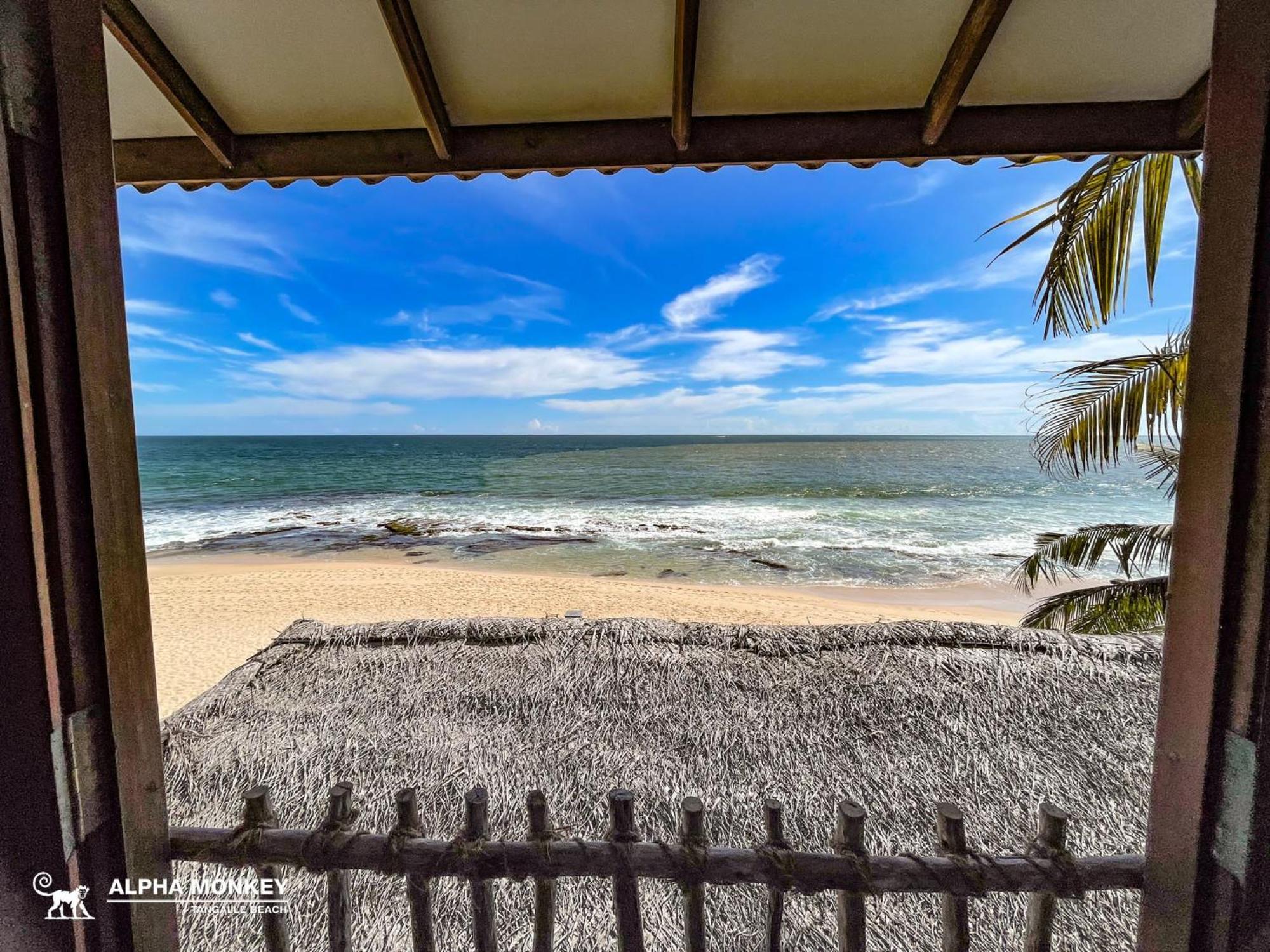 The Alpha Monkey Hotel & Tree House Tangalle Zimmer foto