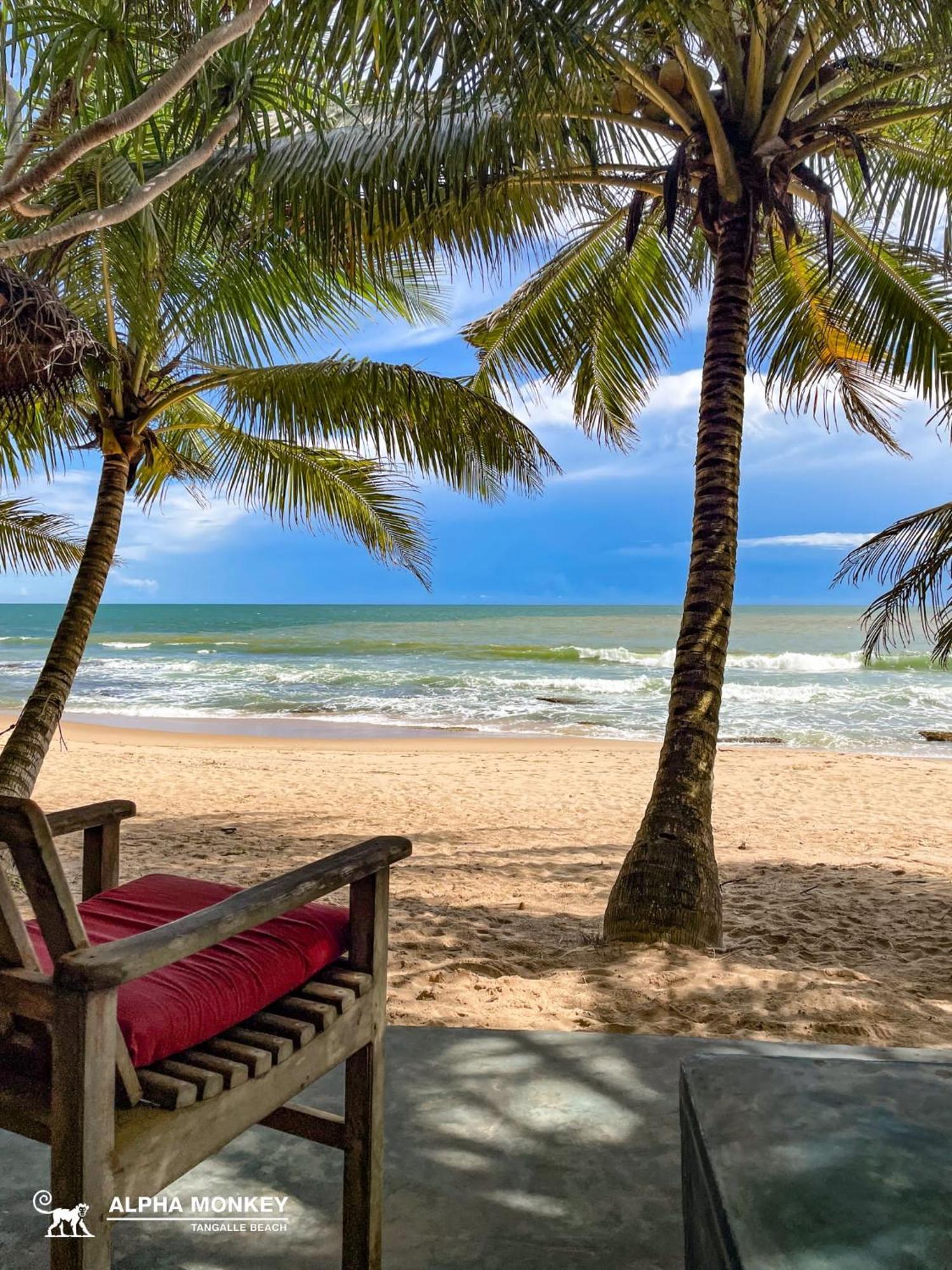 The Alpha Monkey Hotel & Tree House Tangalle Zimmer foto
