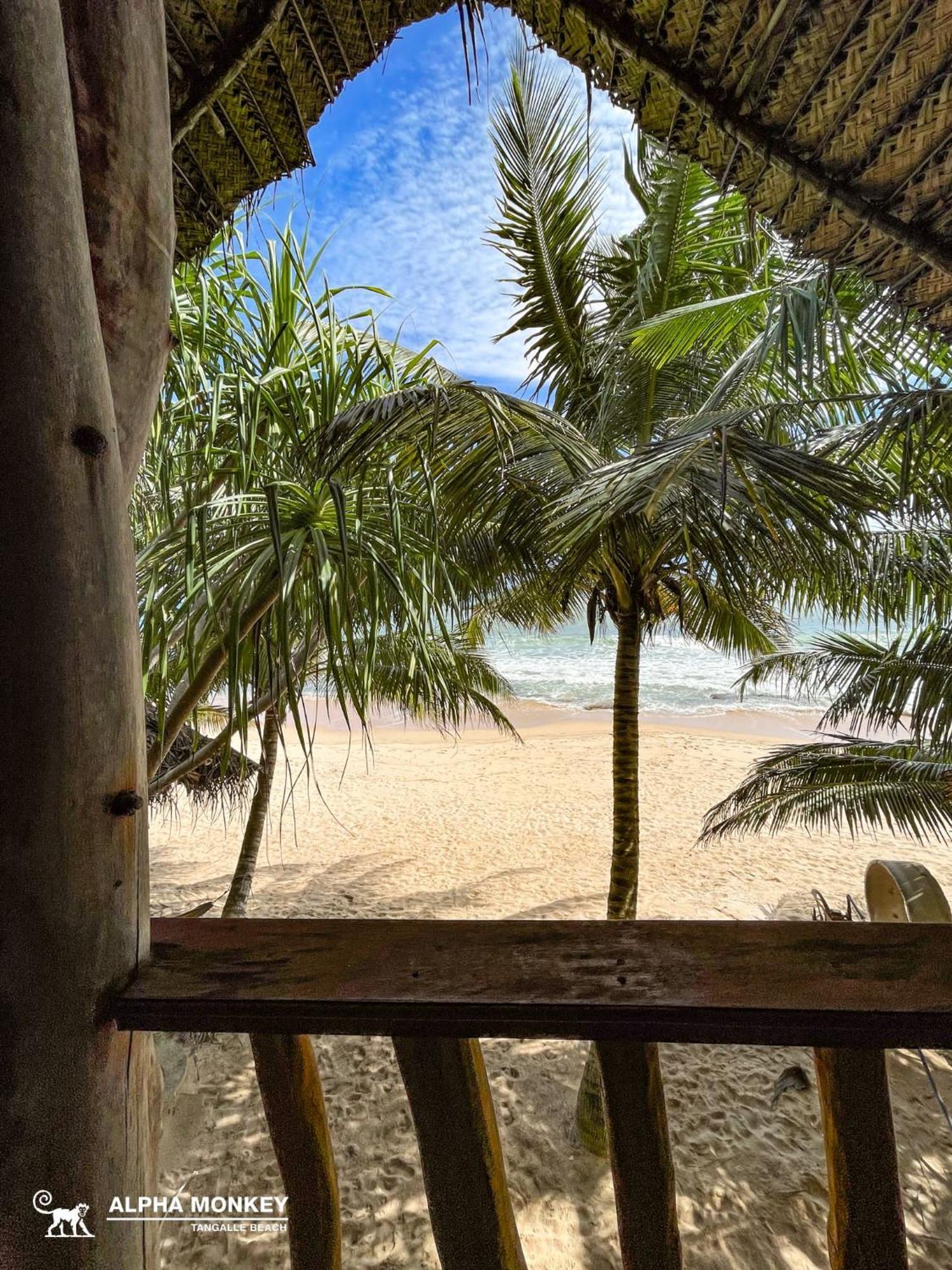 The Alpha Monkey Hotel & Tree House Tangalle Zimmer foto